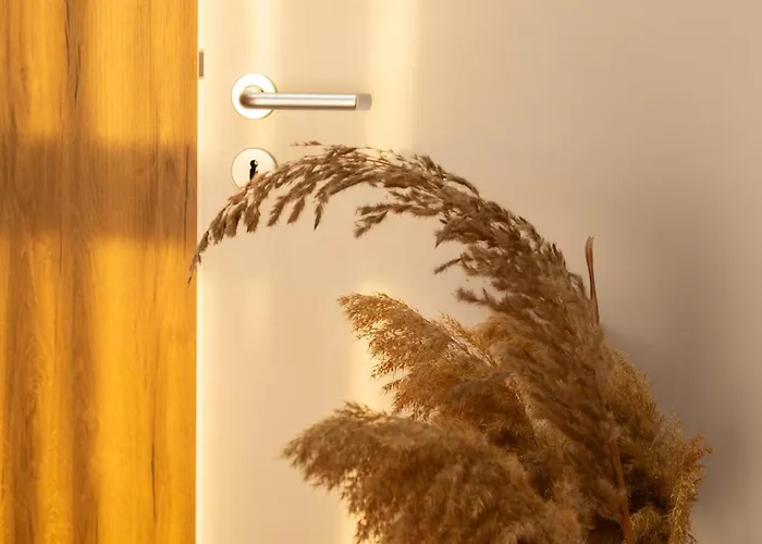 Art Vista Apartamento